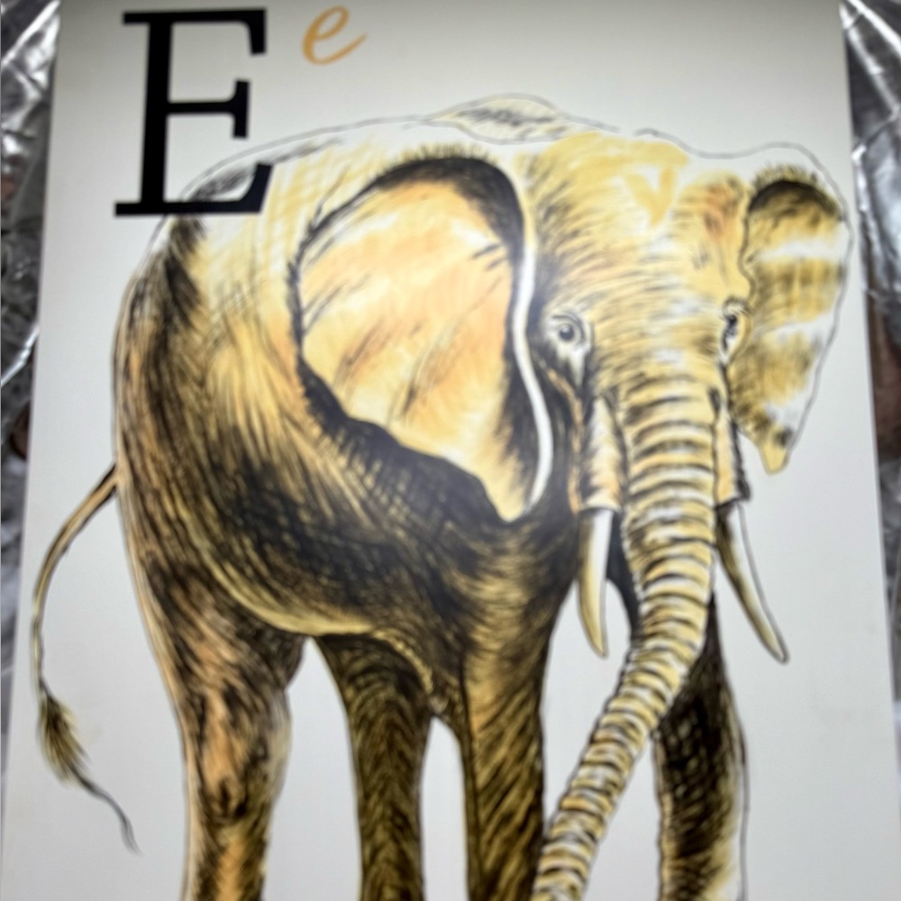 Pottery Barn Kids Light Wood Surface Artwork